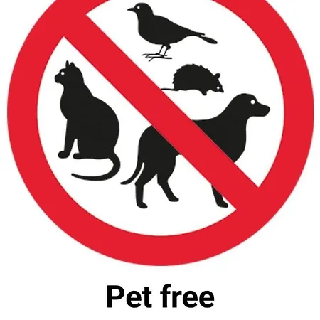 Yorkshire Rose Scarborough