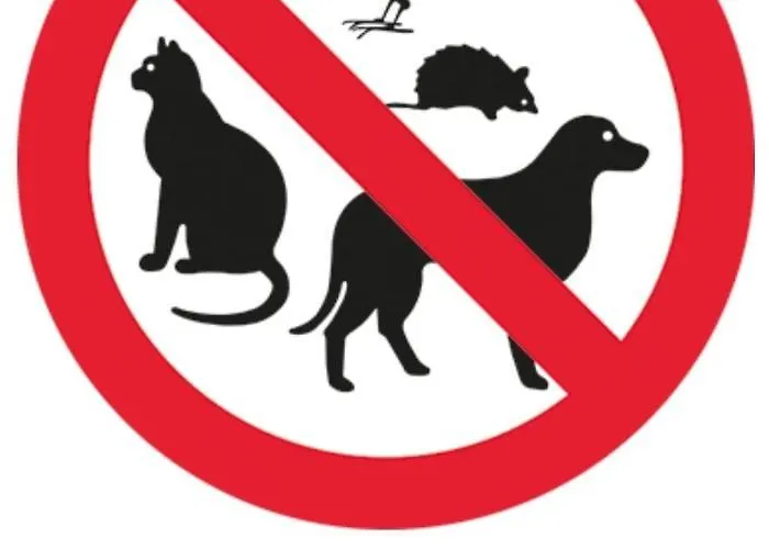 Yorkshire Rose Scarborough